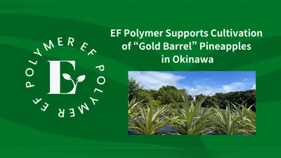 Pineapple plantation in Okinawa on a green background with the EF Polymer logo